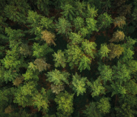 Backdrop 12