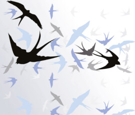 Backdrop 9