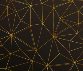 Backdrop 14